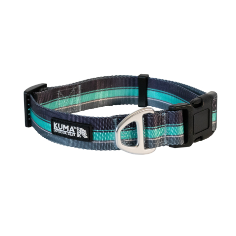 https://www.kumaoutdoorgear.com/images/products/cropped/backtrack-dog-collar-230829043156-788.jpg